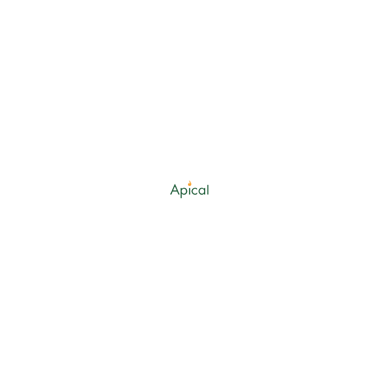 Apical
