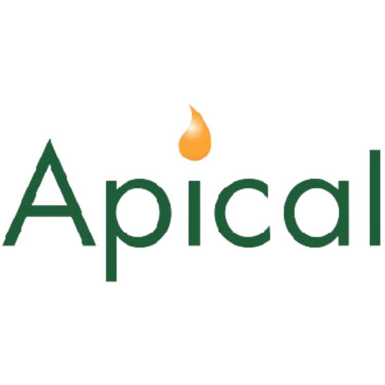 Apical
